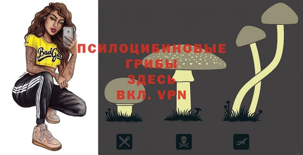 метамфетамин Богородск
